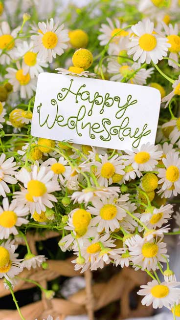 Beatiful Flower Card with Greeting 'Happy Wednesday' on it. - Lettering style