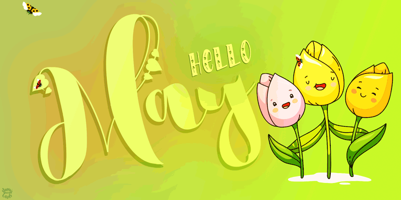 Animated Flower Illustration - Butterflies and Hello May - Lettering